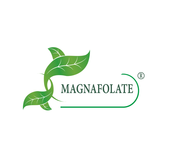 Magnafolate® کیا ہے؟ فولیٹ بمقابلہ فولک ایسڈ، کیا فرق ہے؟