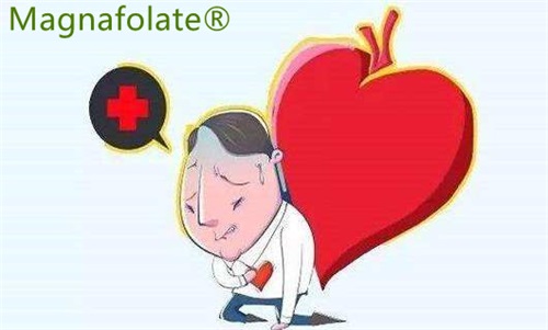 L-5-Methylfolate: فالج اور ہارٹ اٹیک کے خطرے کو کم کر سکتا ہے۔