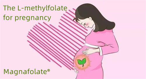 حاملہ لوگوں کے لئے L-methylfolate