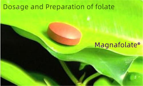 فولیٹ یا L-Methylfolate کی خوراک اور تیاری