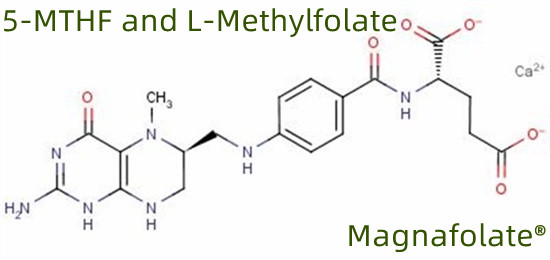 5-MTHF اور L-Methylfolate