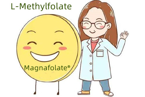 فولک ایسڈ اور L-Methylfolate کا اضافی ذریعہ