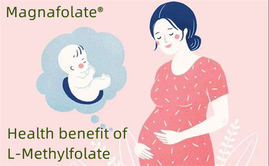 l-methylfolate کے ساتھ نیورل ٹیوب کے نقائص کی روک تھام