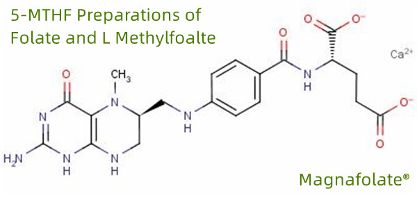 5-MTHF فولیٹ اور L Methylfoalte کی تیاری