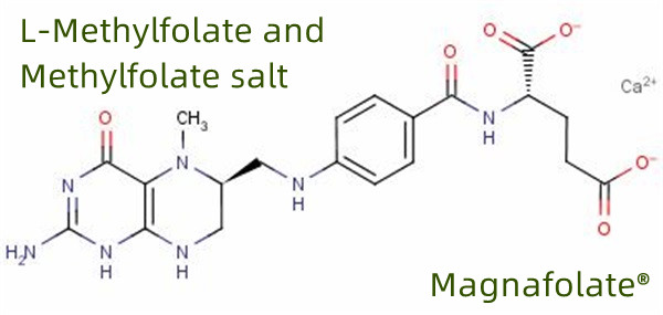 L Methylfolate کا عالمی مینوفیکچرر اور سپلائر