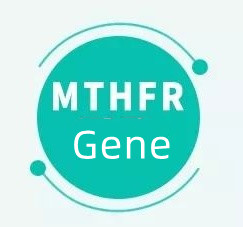 اگر آپ کے پاس MTHFR جین ہے تو اس کا کیا مطلب ہے؟