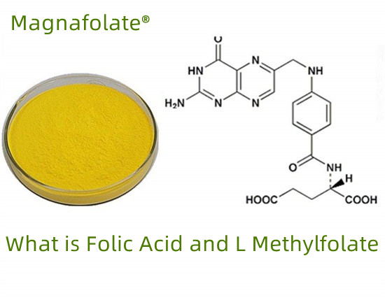 فولیٹ VS فولک ایسڈ VS L-methylfolate کیا ہے؟