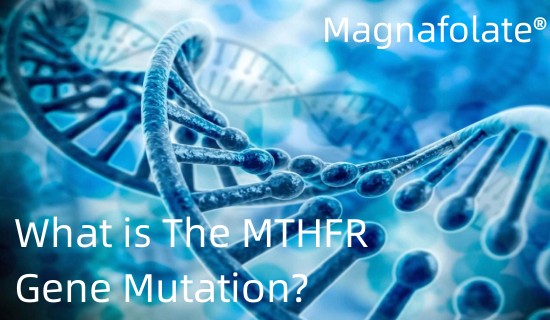 MTHFR جین میوٹیشن کیا ہے؟