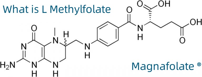 L Methylfolate کیا ہے؟