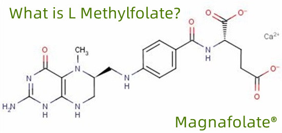 L-methylfolate 151533-22-1 اعلی طہارت 99% 1000 گرام/بیگ