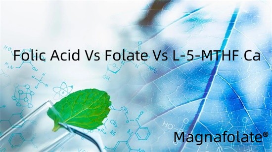 فولک ایسڈ بمقابلہ فولیٹ بمقابلہ L-5-MTHF Ca