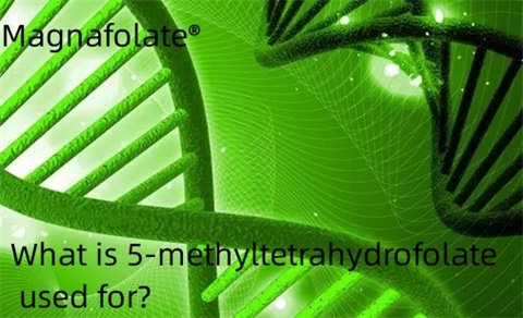 5-methyltetrahydrofolate کس کے لیے استعمال ہوتا ہے؟