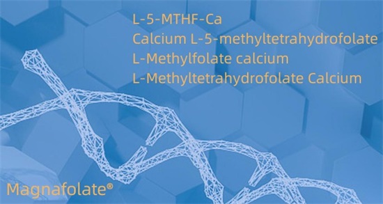 کیلشیم L-5-methyltetrahydrofolate Cas151533-22-1