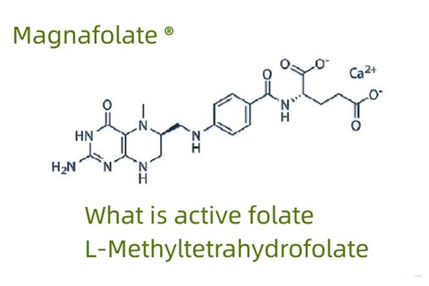 فعال فولیٹ اور L-Methyltetrahydrofolate کیا ہے؟