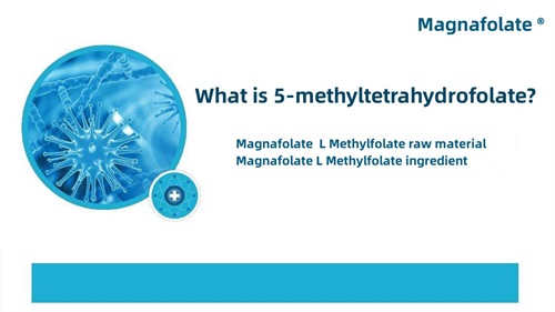 5-methyltetrahydrofolate کیا ہے؟