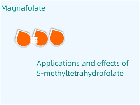 5-methyltetrahydrofolate کے اطلاقات اور اثرات