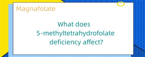 5-methyltetrahydrofolate کی کمی کیا متاثر کرتی ہے؟
