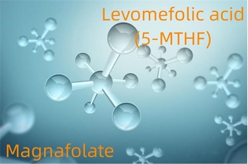 Levomefolic ایسڈ (5-MTHF) - میگنافولیٹ