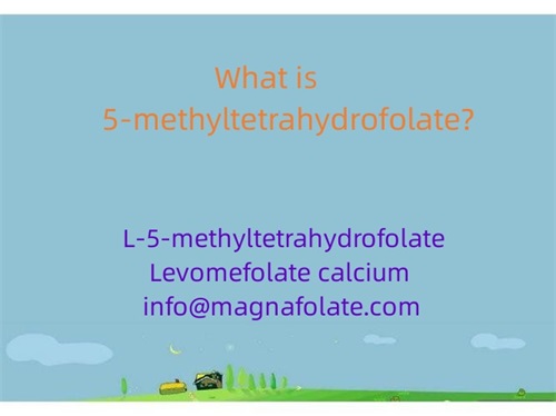 5-methyltetrahydrofolate کیا ہے؟