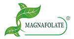 Magnafolate® VS فولک ایسڈ