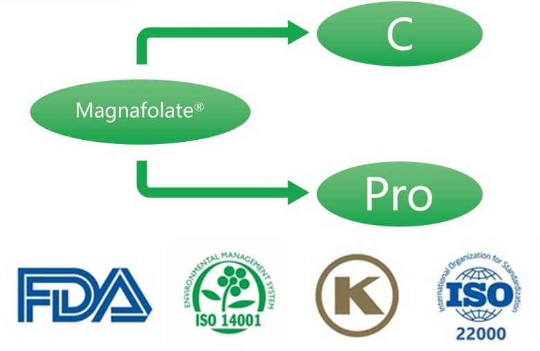 کیلشیم L-5-methyltetrahydrofolate کیا ہے؟ سپلائرز کیا ہیں؟