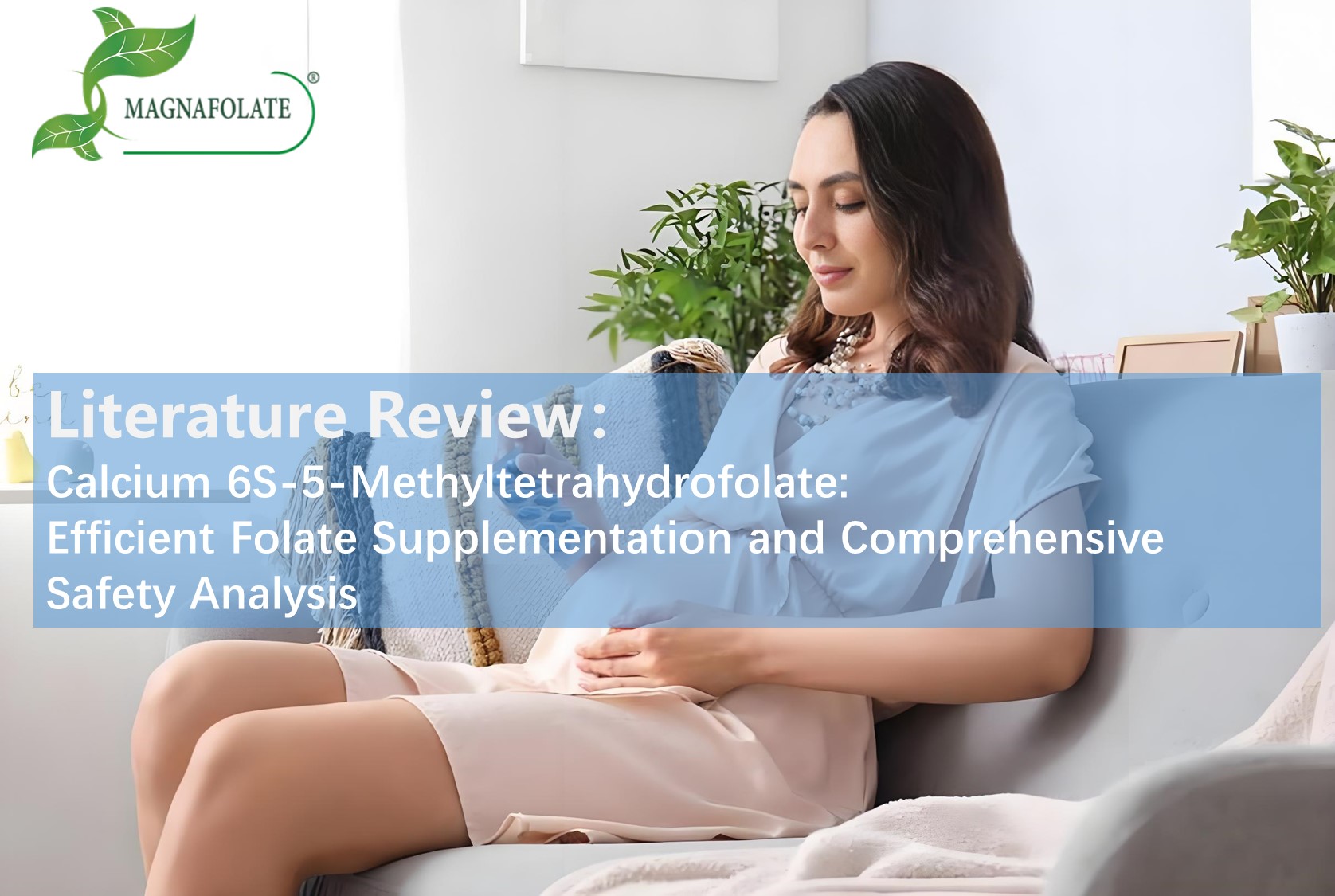 ادب کا جائزہ: کیلشیم 6S-5-methyltetrahydrofolet: موثر فولیٹ ضمیمہ اور حفاظت کا جامع تجزیہ